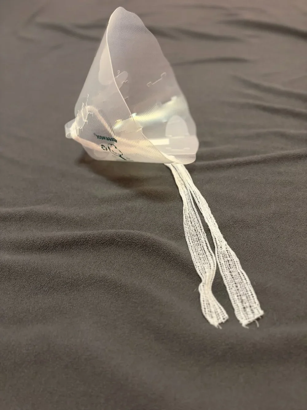 cat cone